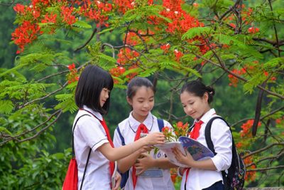THÔNG BÁO THỜI GIAN NGHỈ HÈ NĂM HỌC 2025-2026